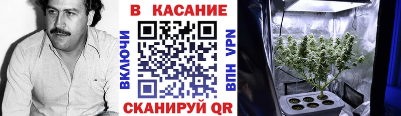 Магазины продажи наркотиков Новомосковск Псилоцибиновые грибы  Alpha-PVP  АМФЕТАМИН  МЕФ  ГАШ  Марихуана 