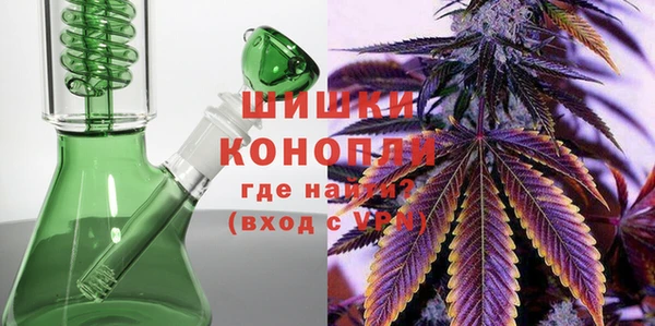 гидра Белокуриха