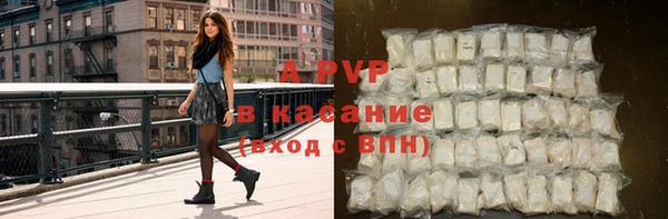 гидра Белокуриха