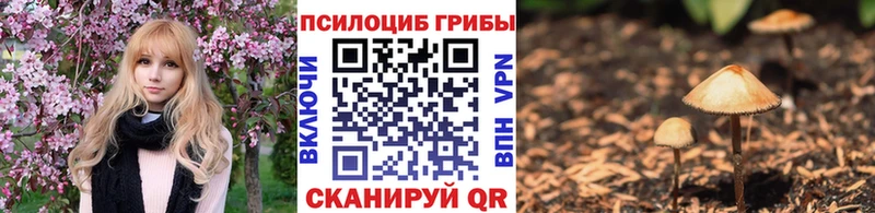 Галлюциногенные грибы MAGIC MUSHROOMS  гидра как зайти  Новомосковск 